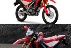 Siap Libas Medan Ekstrem! Cek Keunggulan Performa Honda CRF250L yang Bikin Rider Off-Road Jatuh Hati