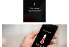 iPhone cepat panas saat charging, lepas casing tebal terbukti turunkan suhu drastis