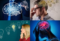 Mau Cerdas? Ini 5 Tips Strategi Sederhana Untuk Meningkatkan Kinerja Otak dan Daya Ingat Anda