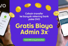 Saldo OVO Gratis? Simak Cara Cerdas Ini dan Nikmati Keuntungannya Sekarang!