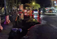 Kondisi Memprihatinkan dan Perawatan yang Terabaikan