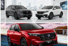 Honda CR-V Juni 2026 Masih Jadi Primadona, Simak Harga Terbaru dan Keunggulannya di Segmen SUV Premium