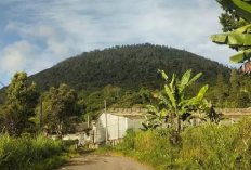 Kisah Mitos dan Mistis Gunung Pohen Bali