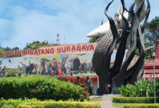 Ini Destinasi yang Bikin Pengunjung Betah dan Nyaman di Surabaya, Ada Apa Aja Yah?