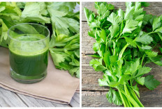 Mengenal Manfaat Seledri untuk Kulit yang Jarang Diketahui!