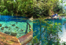 Danau Kaco, Simbol Cinta yang Hilang antara Raja Gagak dan Putri Napal Melintang!