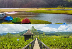 Pesona Alam Trenggalek, 6 Tempat Wisata yang Wajib Dikunjungi di Jawa Timur!