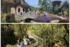 6 Tempat Wisata Alam Instagramable di Bogor yang Cocok untuk Healing dan Berburu Foto Keren