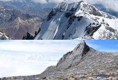 Menaklukkan Puncak Jaya, Pengalaman Mendaki Gunung Tertinggi di Indonesia!