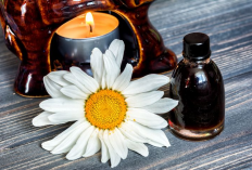 Bikin Sendiri Aromaterapi di Rumah? Gampang Banget, Ini Panduan Lengkapnya!