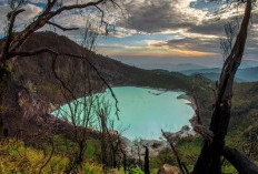 Kawah Putih, Keindahan Danau di Puncak Gunung Patuha