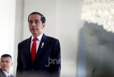 Mayoritas Masyarakat Puas Kinerja Jokowi