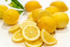 Ternyata Ini Dia, 5 Manfaat Lemon Mendukung Fungsi Pencernaan Anda