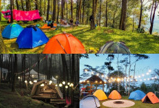 Jelajahi Keindahan Alam, Ini dia 7 Spot Camping Populer di Yogyakarta Yuk Kesana!