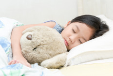 Cek Faktanya, Kenali 5 Keajaiban Kesehatan Dari Kebiasaan Tidur Siang