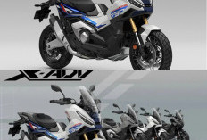 Honda X-ADV 2026 Resmi Hadir, Desain Futuristik dan Fitur Canggih Siap Touring