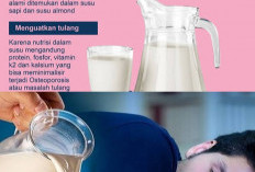 Bikin Gemuk? Ternyata Ini Manfaat Minum Susu Malam Hari