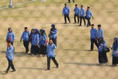  PPPK Merasa Mirip Honorer 