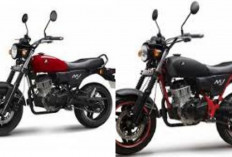 Aeon Motor MK150, Motor Adventure Mini Pesaing Honda Monkey yang Tangguh dan Siap Jelajah Alam Ditahun 2026!
