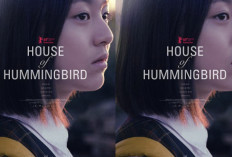 Film House of Hummingbird, Tarik Ulur Relasi-Relasi yang Rentan Retak