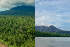 Petualangan di Gunung Daik, Menyaksikan Keindahan Alam yang Tak Terlupakan!