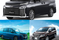 8 Mobil Bekas Kelas Premium yang Bisa Jadi Alternatif Toyota Alphard, Ini Dia Mobilnya!
