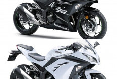 Kembali Bangkit Kawasaki Ninja 300 Terbaru 2026 Resmi Dirilis: Mesin Lebih Buas Ditahun 2026! 