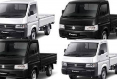 Carry Pick Up Terbaru 2026 Hadir Lebih Modern: Mesin Bandel, Muatan Besar, dan Irit untuk Usaha Ditahun 2026!