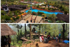 Liburan ke Bogor Makin Seru! Ini 6 Wisata Alam dengan Spot Foto Instagramable yang Wajib Dikunjungi