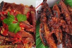 Cita Rasa Kelezatan Ikan Tongkol Pedas Menggigit Bikin Ketagihan Terus!