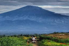 Banyak yang Nggak Tau! Ini Pesona yang Tersembunyi di Gunung Gupak 