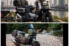 Honda Square X 125 2026 Tampil Nyentrik dan Canggih, Simak Fitur Unggulan yang Jarang Dimiliki Rivalnya