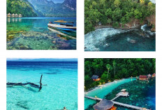 Yuk Jelajahi! Ini 5 Rekomendasi Wisata Pantai di Ambon, Cocok untuk Staycation Bersama Keluarga dan Pasangan