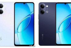 Review Vivo Y6c 2026: HP Murah dengan Baterai Besar dan Layar Mulus, Masih Layak Dibeli Tahun Ini!
