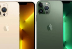 Review iPhone 13 Pro Max: Masih Worth It Dibeli di 2026? Cek Performa dan Kameranya!