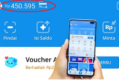 Bosan Gaji Pas-pasan? Coba 3 Aplikasi Survey Ini untuk Passive Income Rp460.000 per Bulan!