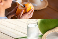 5 Manfaat Minum Air Kelapa Muda Saat Sahur: Cairan Ajaib yang Bikin Tubuh Segar Seharian Selama Puasa!