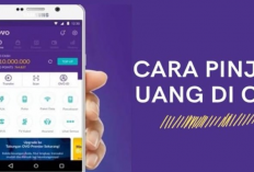 Cuma Butuh KTP! Pinjam Rp15 Juta Langsung Masuk OVO dalam 30 Menit, Tanpa PayLater!