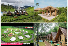 Hilangkan Stres Dan Perkuat Ikatan Family, Inilah Rekomendasi Tempat Wisata Glamping Terbaik!