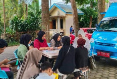 Urus Dokumen Kependudukan Cukup Lewat Whatsapp