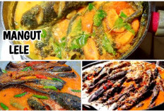 Mangut Lele; Kuliner Ikonik Yogyakarta yang Harus Dicoba