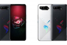 Apakah ROG Phone 5 Masih Layak Digunakan Sekarang? Simak Ulasannya