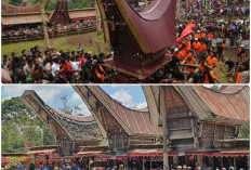 Mengenal Adat Budaya Suku Toraja. Kebudayaan Unik yang Tetap Dilestarikan