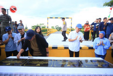 Herman Deru Resmikan Jembatan Senilai Hampir Rp5 Miliar di OKI