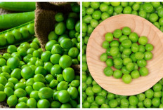 Wajib Anda Ketahui! 5 Manfaat Kacang Polong untuk Kesehatan