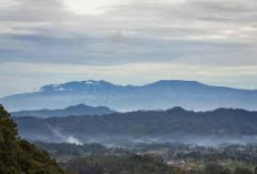 Gunung Harun, Destinasi Wisata Alam yang Memikat Hati Peneliti dan Pecinta Alam