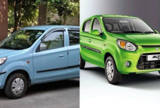 Review Lengkap Suzuki Alto 800, Mobil Mungil Irit yang Praktis untuk Perkotaan 2026!
