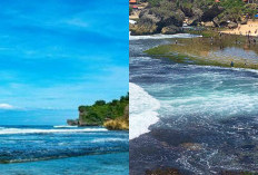 Pantai Kukup Gunungkidul, Pesona Pasir Putih dan Laut Dangkal yang Menawan