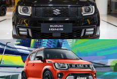 Suzuki Ignis 2026, Mobil Compact Paling Irit dan Stylish untuk Perkotaan, Segini Konsumsi BBM Nya!