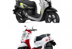 Review Honda Scoopy 2026 Edisi Terbatas: Lebih dari Sekadar Stiker & Pelek 12 Inci, Ada Fitur Baru yang Bikin 